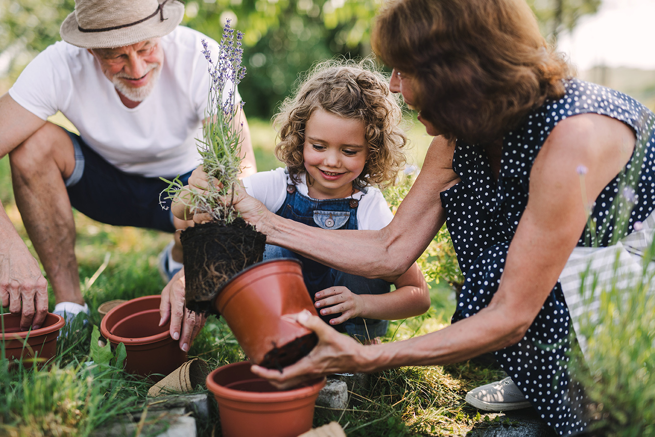 Grandparent with grandchildren doing gardening